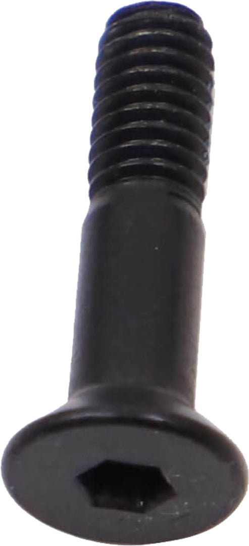 Chain Guide Adapter Screw M4x15