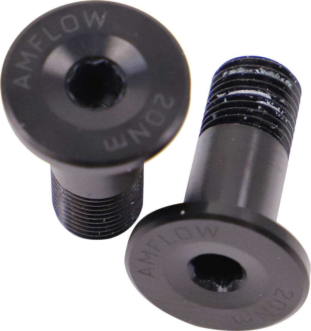 Seatstay Pivot Screw Hex, M10x21