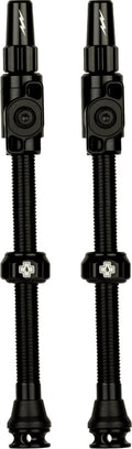 Tubeless Valves Big Bore Lite