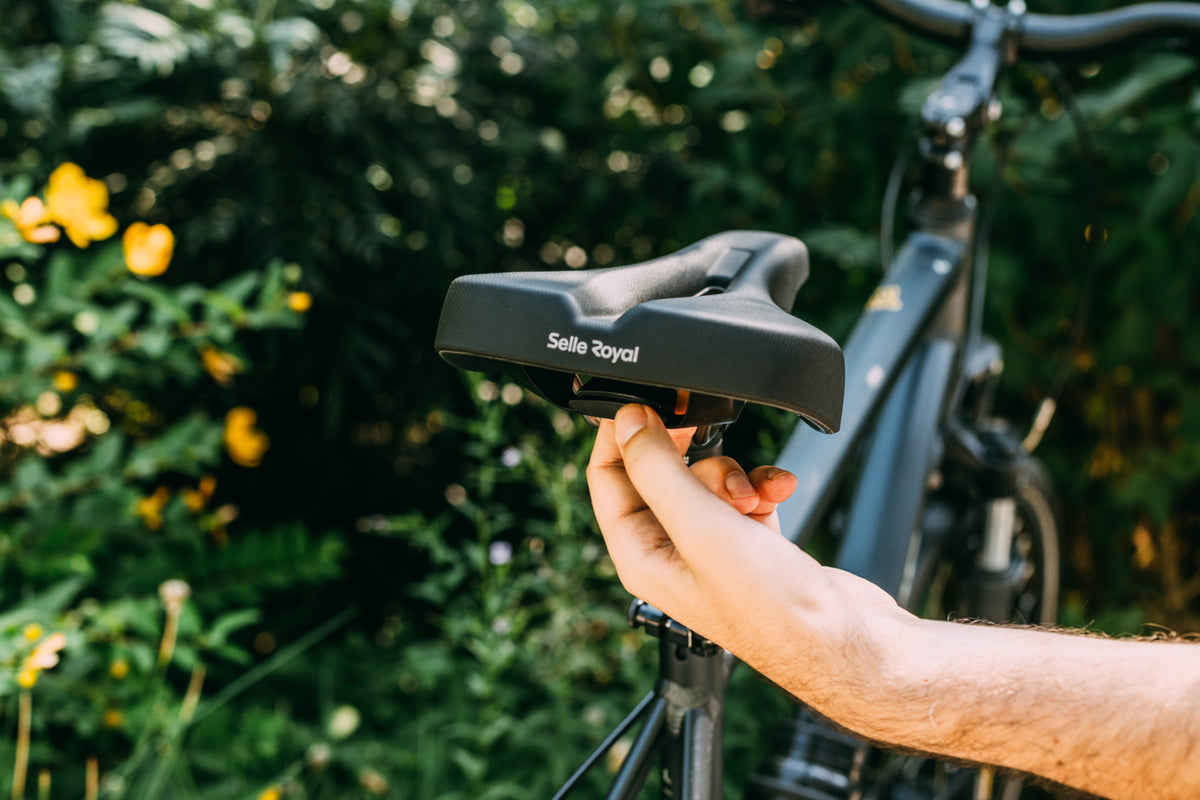 Vaia Moderate Saddle