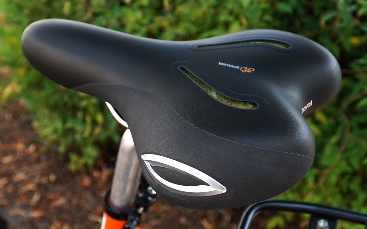 Lookin Moderate Saddle