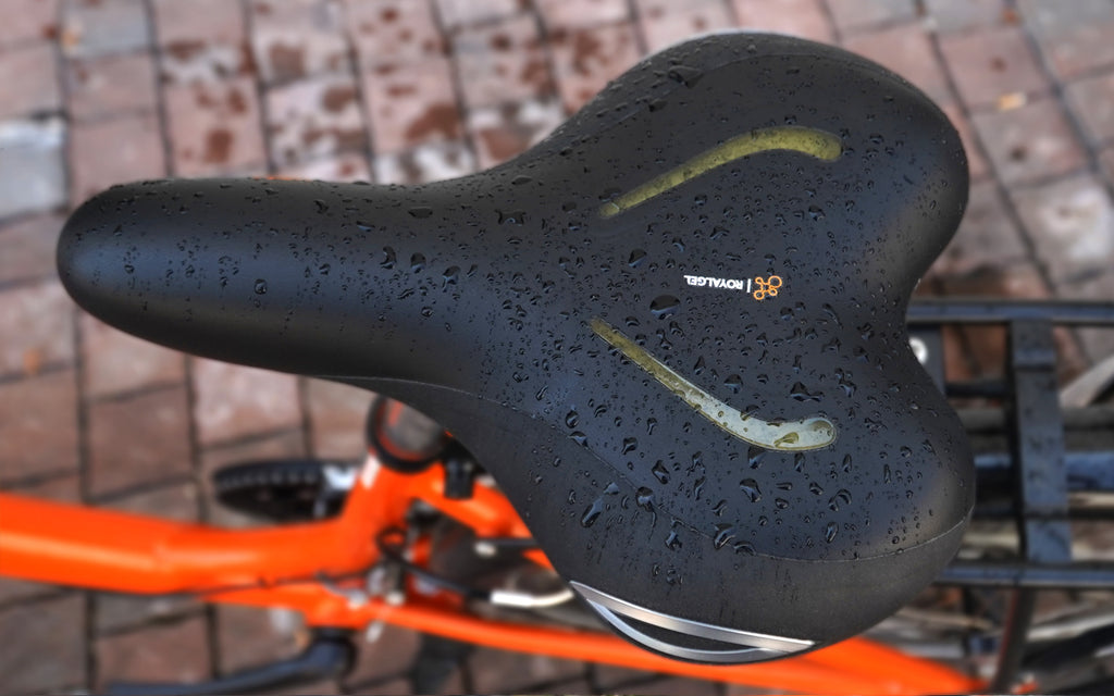 Lookin Moderate Saddle