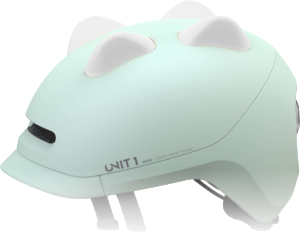 Unit1 Inserts Dino Sparky