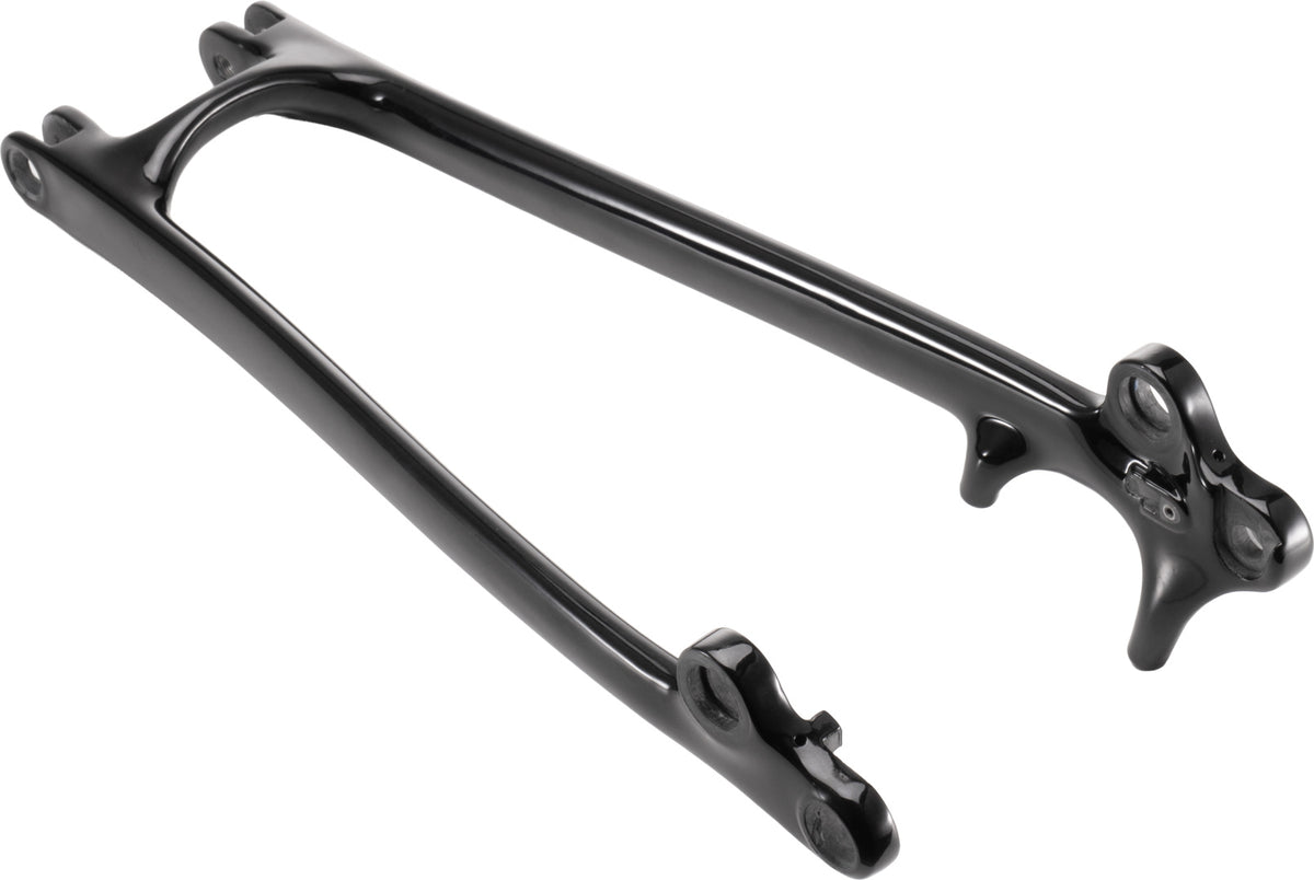 Carbon fiber seat stay
