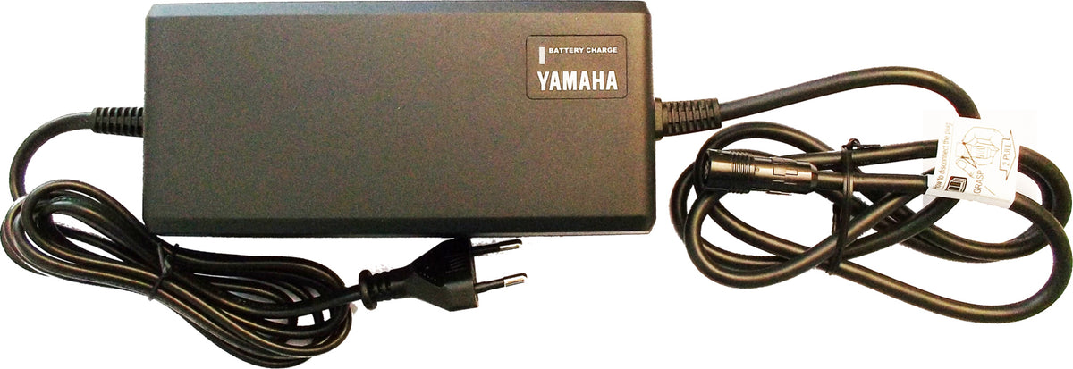 Charger PASC5 220-240V, frequency 50/60Hz