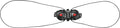 Double Tecno III PUSH System